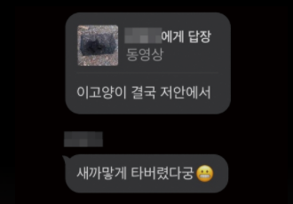 [청원요청] 오픈채팅 '고어전문방' 학대자가 처벌받을 수 있도록 동참해주세요!