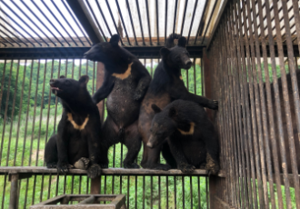 [사육곰] “동물보호법을 잘 몰라서 그랬습니다.”