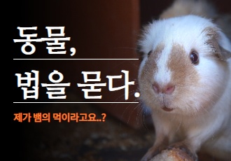 [동물 법을 묻다] 제가 뱀 먹이라고요..?