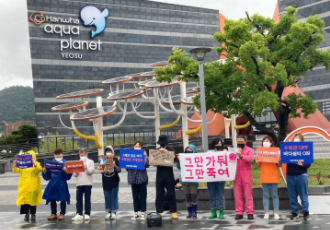 [기자회견]한화 마지막 남은 벨루가 '루비'라도 살리자!