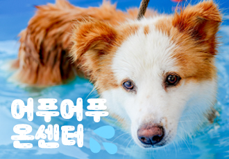 올여름도 무사히 잘 지내보자🏊‍♀️