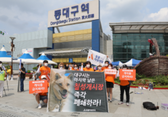 [개식용 철폐] 대구칠성개시장의 완전철폐!를 위한 초복집회 참가 후기