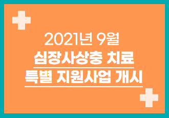 [특별지원사업] 2021년 9월 심장사상충 치료 특별 지원사업을 시작합니다