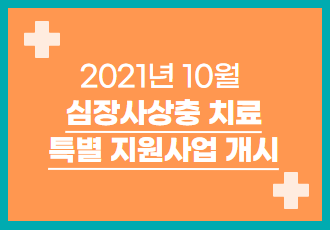 [특별지원사업] 2021년 10월 심장사상충 치료 특별 지원사업을 시작합니다