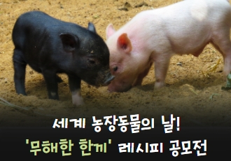 [참여요청]어떠한 생명도 해치지 않는 “무해한 한끼” 레시피 공모전