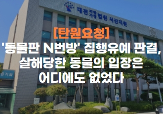 ’동물판 N번방’ 집행유예 판결, 살해당한 동물의 입장은 어디에도 없었다.