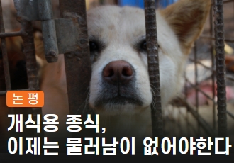 [논평] 개 식용 종식, 이제는 물러남이 없어야 한다