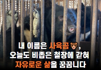 내 이름은 사육곰🐻, 오늘도 비좁은 철장에 갇혀 자유로운 삶을 꿈꿉니다