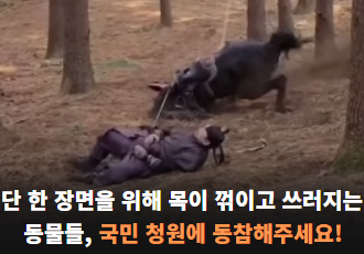 단 한 장면을 위해 목이 꺾이고 쓰러지는 동물들, 국민 청원에 동참해주세요!