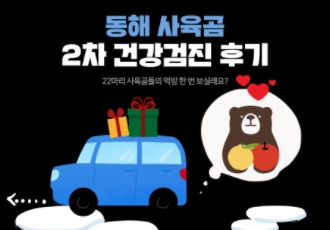 [사육곰]동해 사육곰 22마리 이주를 위한 2차 건강검진을 다녀왔습니다