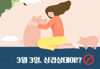 3월 3일. 삼겹살데이!?🐷🚫