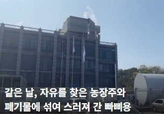 같은 날, 자유를 찾은 농장주와 폐기물에 섞여 스러져 간 빠삐용