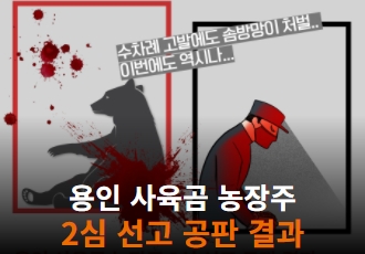 용인 사육곰 농장주 2심 선고 공판 결과