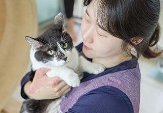 고양이들의 새로운 시작을 위한 이별의 기록, 더 나은 삶이 되길.