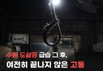 수원 도살장 급습 그 후, 여전히 끝나지 않은 고통