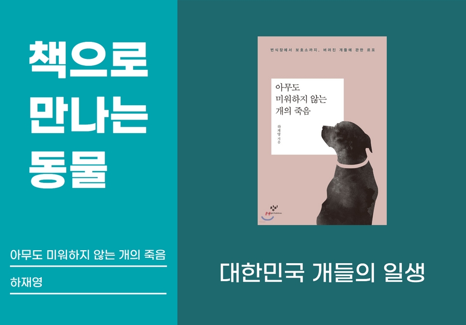 📖책으로 만나는 동물 <아무도 미워하지 않는 개의 죽음>