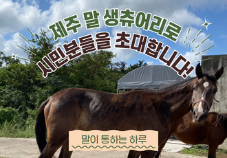 ‘말이 통하는 하루’에 여러분을 초대합니다!🐎