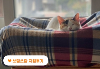 몸이 아파 움직일 수 없었던 860그램의 새끼고양이 ‘다비’🐱