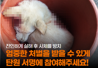 [탄원요청]개를 잔인하게 살해하고 피를 뚝뚝 흘리는 사체를 그대로 방치한 학대범 고발