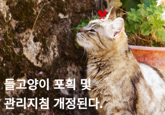 들고양이 포획 및 관리지침 개정된다.