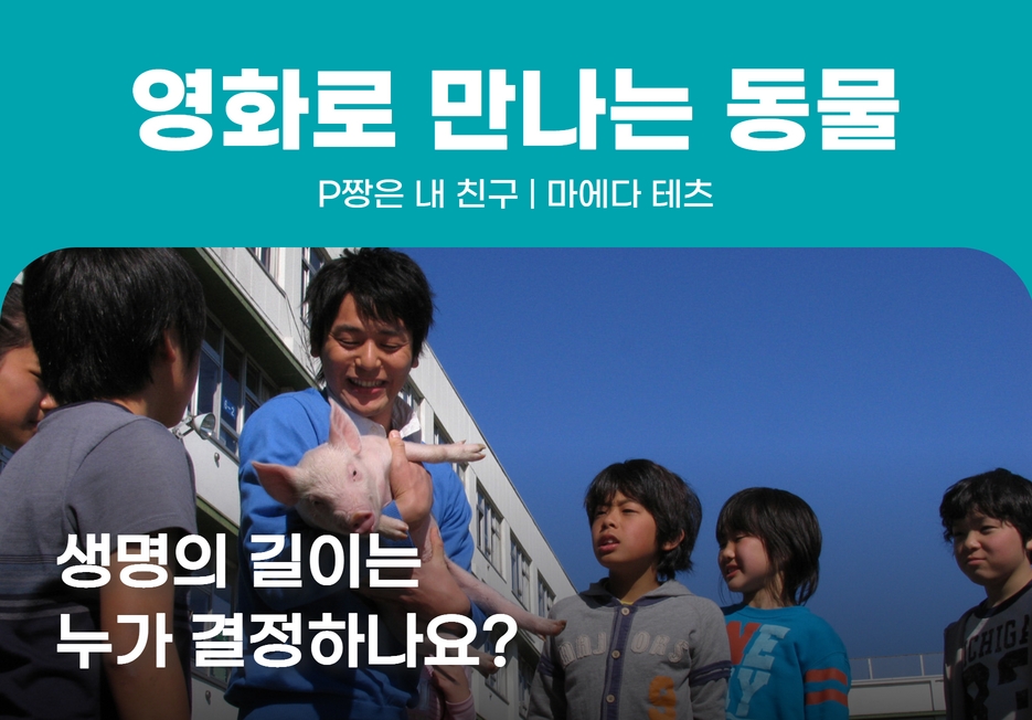 🎬영화로 만나는 동물 <P짱은 내 친구>