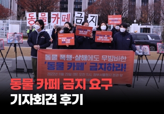 '동물 카페 금지’ 요구 기자회견 후기