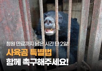 청원 만료까지 단 2일! 사육곰 특별법 함께 촉구해주세요!