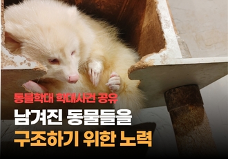 무간지옥, 동물카페에 남겨진 동물을 구조하기 위한 노력