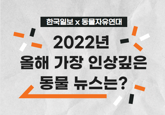 동물자유연대X한국일보]2022년 가장 인상깊은 동물 뉴스는?