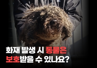 화재 발생 시 동물은 보호받을 수 있나요?