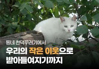 [공존 프로젝트] 동네 천덕꾸러기에서 우리의 작은 이웃으로 받아들여지기까지