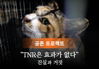 [공존 프로젝트: TNR편] TNR은 효과가 없다? 진실과 거짓, 동물자유연대가 조목조목 짚어드립니다