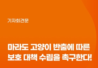 [기자회견문]문화재청과 제주도는 마라도 고양이 몰살 위협 중단하고 보호 대책 마련하라!