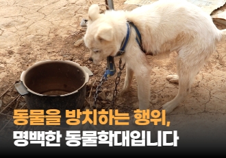 [동물학대] 방치, 명백한 동물학대입니다