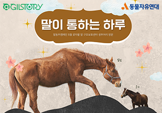 [참여 신청] ‘말이 통하는 하루’ 함께 보내요 👩💖🐴