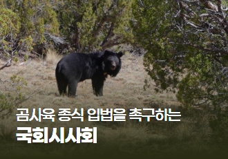 사육곰의 내일이 달라질 수 있도록 <곰마워> 국회 시사회에 함께해주세요!