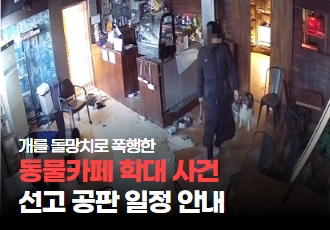 [동물학대] 개를 돌망치로 폭행한 동물카페 학대 사건, 선고 공판 일정 안내