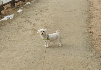 곤지암 청순이 2주년 근황