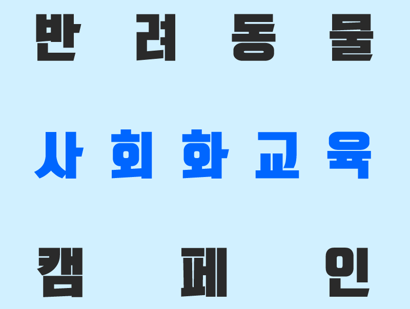 [사회화교육 캠페인] 우리 주인이 달라졌어요 2탄~