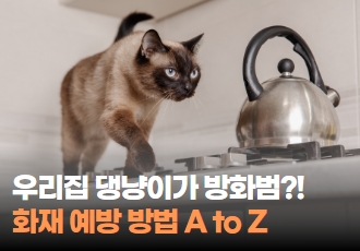 우리집 댕냥이가 방화범?! 화재 예방 방법 A to Z