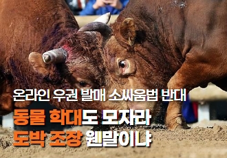 [연대기자회견] 동물학대와 도박 조장하는 온라인 우권 발매! 소싸움법 개정안 폐기하라