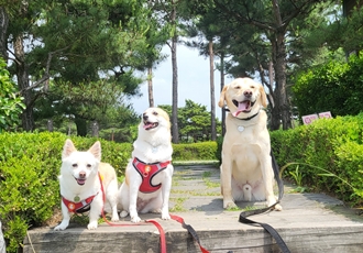 제니(카멜)랑 5년째 행복하게 지내는 중!