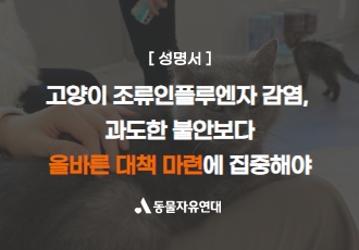 [성명] 고양이 조류인플루엔자 감염, 과도한 불안보다 올바른 대책 마련에 집중해야 한다!