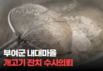 [동물학대] ‘마을에서 사라지는 개들’ 부여군 내대마을 개고기 잔치 사건