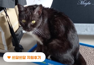 [쓰담쓰담] 사산과 급성신부전으로 목숨이 위험했던 ‘밤이’