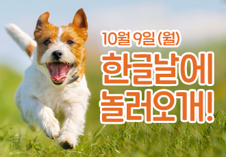 [온캣에 놀러오개] 한글날에 잔디마당에서 뛰어보개🐕