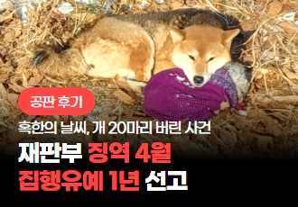 [공판 후기] 수락산 개 집단 유기 사건, 징역 4월 집행유예 1년 선고