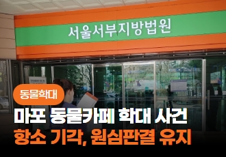 [동물학대] 마포 동물카페 학대 사건, 검찰과 피고인 항소 모두 기각