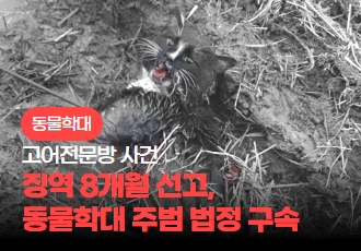 [동물학대] 고어전문방 사건의 행동대장인 피고인이 구속되었습니다.