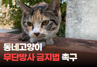 [무단방사 금지] 동네고양이를 그 자리 그대로! ‘고대로법’ 촉구하기